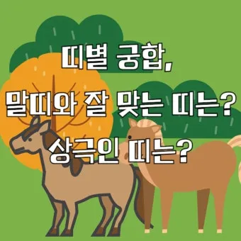 말띠 남녀 궁합 궁합표로 보는 결혼운 사랑운 종합 분석_18