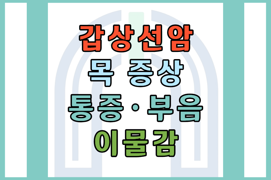 갑상선암 증상 목 통증&middot;부음&middot;이물감 원인부터 검사까지 한눈에 정리