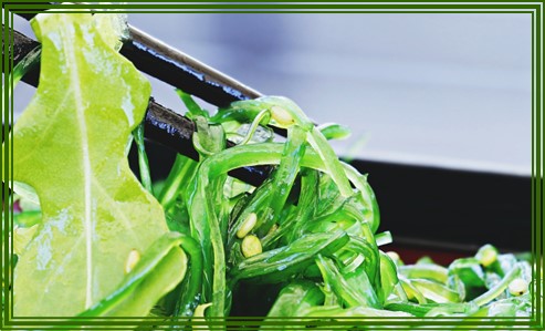 산모 미역 추천 이유