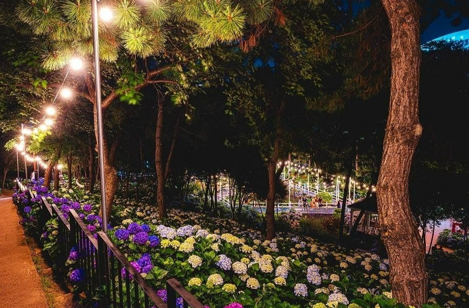 장생포수국페스티벌