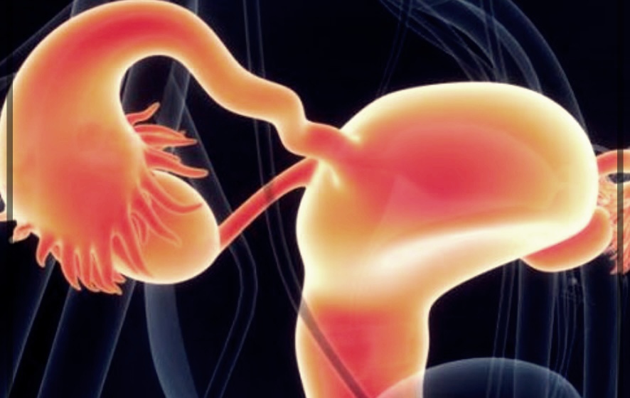 자궁경부 비정형세포 치료및 예방법은?