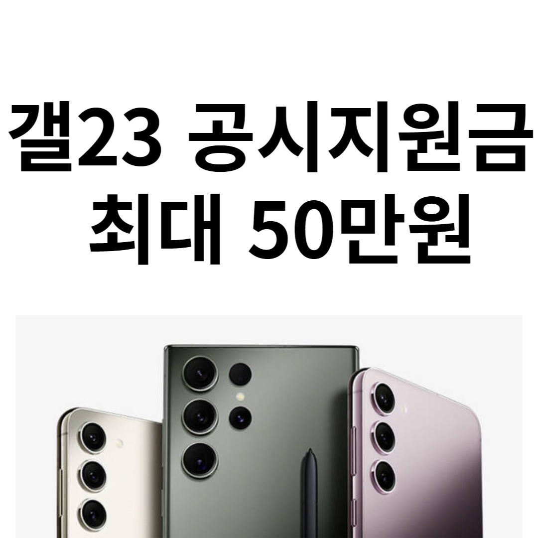 공시지원금