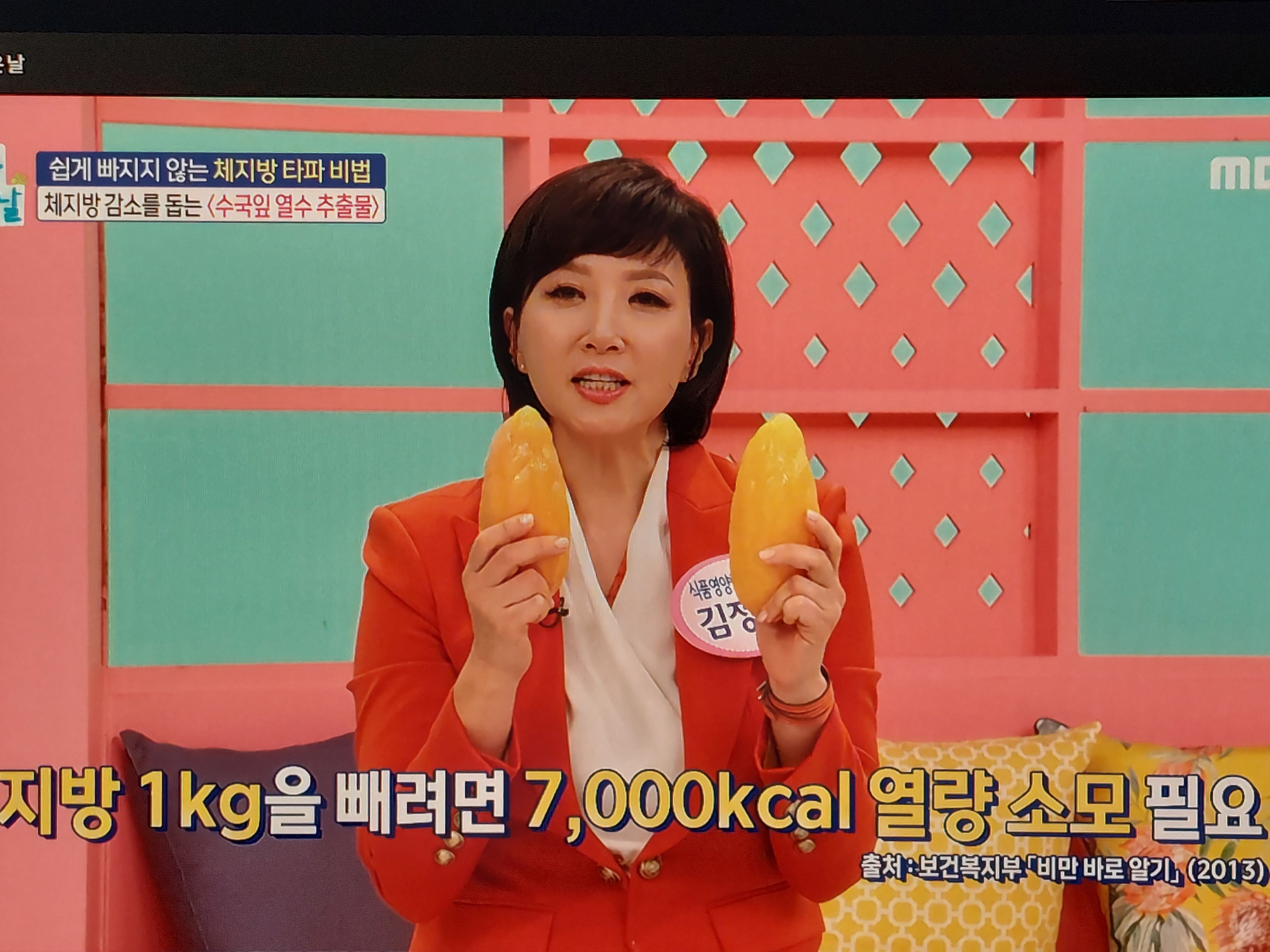 수국잎열수추출물 분말 효능