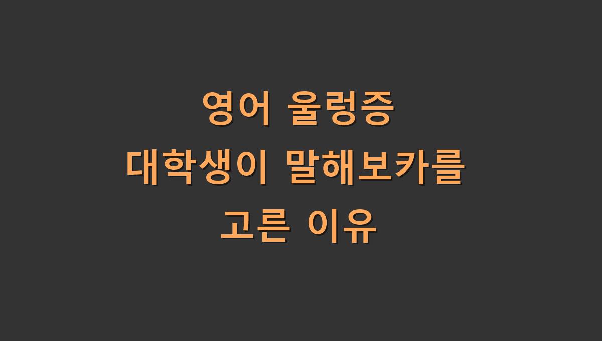 영어 울렁증 대학생이 말해보카를 고른 이유