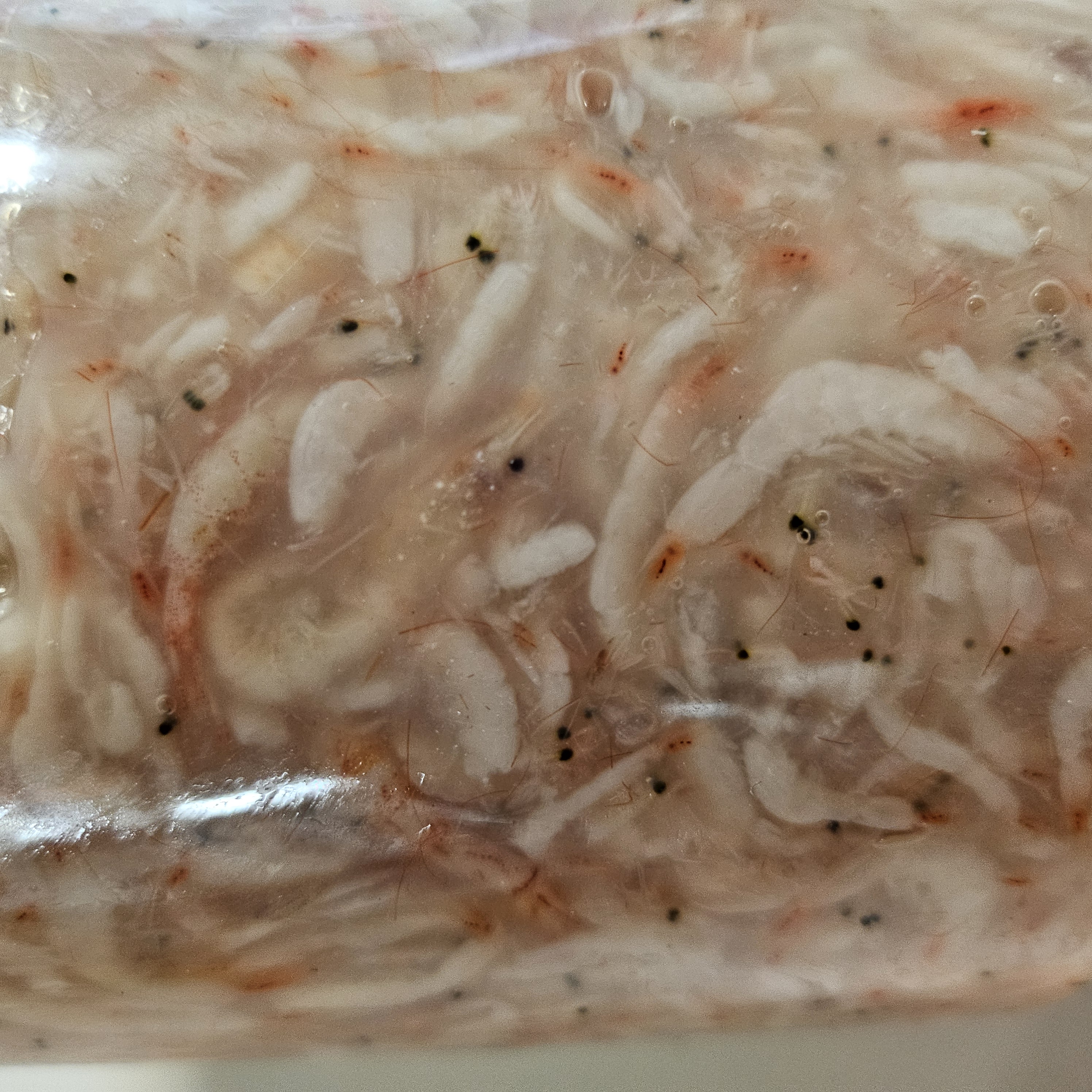 새우젓 보관법