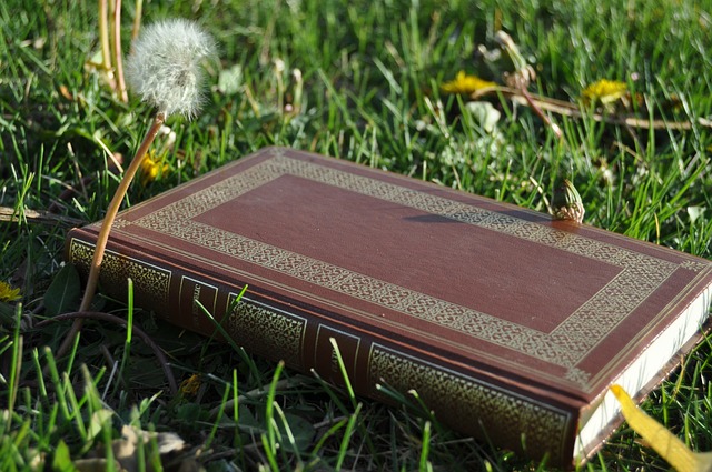 절대주의와 상대주의 이해: 윤리적 진리의 탐구