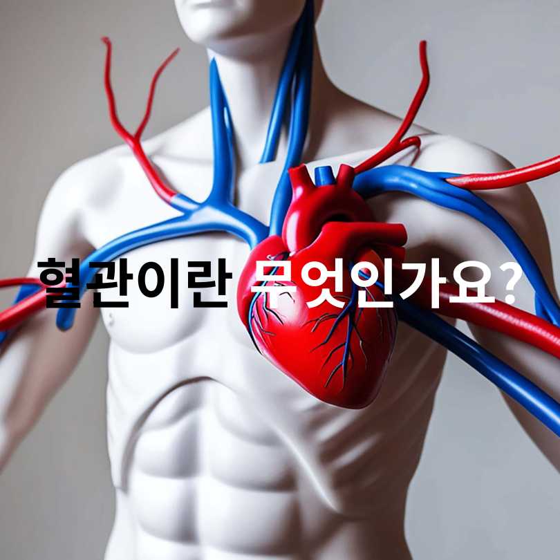 혈관이 막히는 이유? 당신이 몰랐던 진짜 원인들!