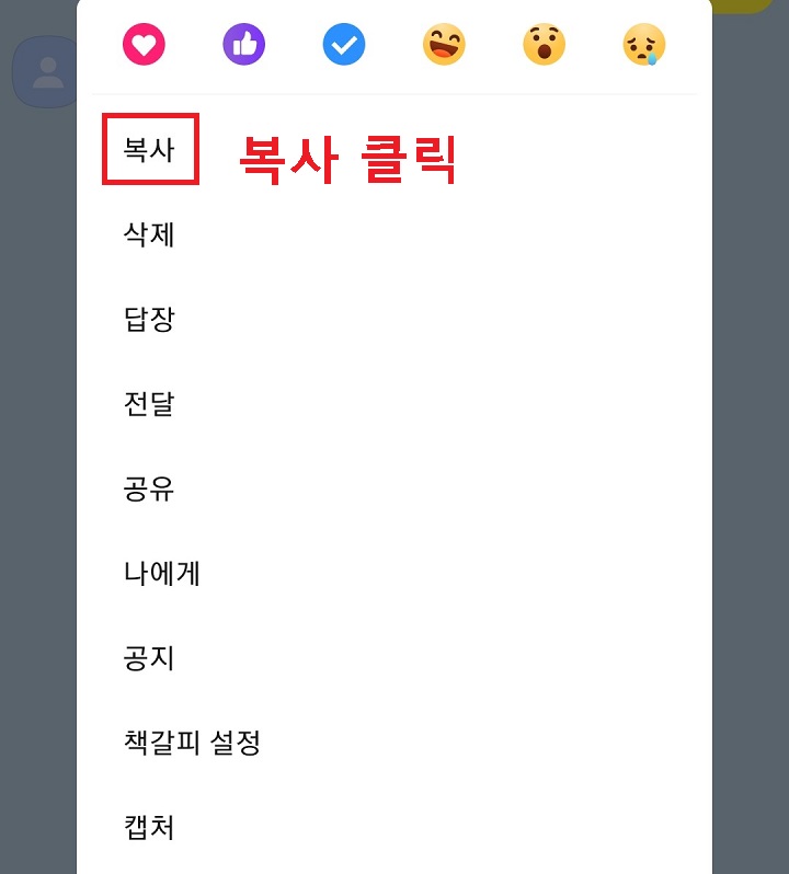 메뉴창에서 복사 클릭함