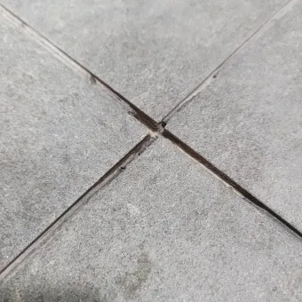 여름철 욕실 세균 곰팡이 청소 끝 관리법과 예방 팁 완벽 위생 가이드_10