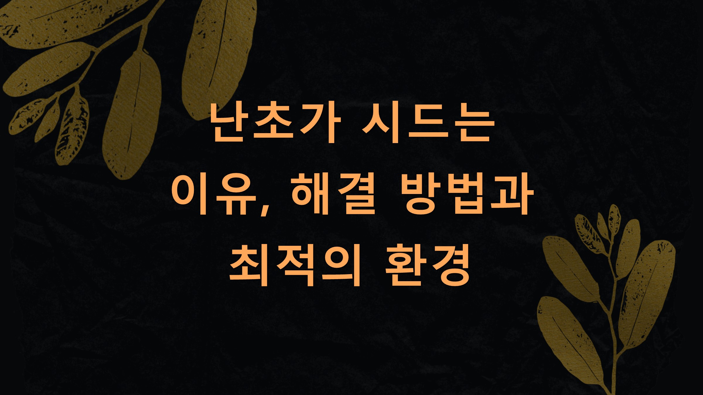 난초가 시드는 이유, 해결 방법과 최적의 환경