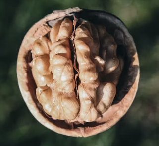 포스파티딜 세린 효능 음식 추천 부작용