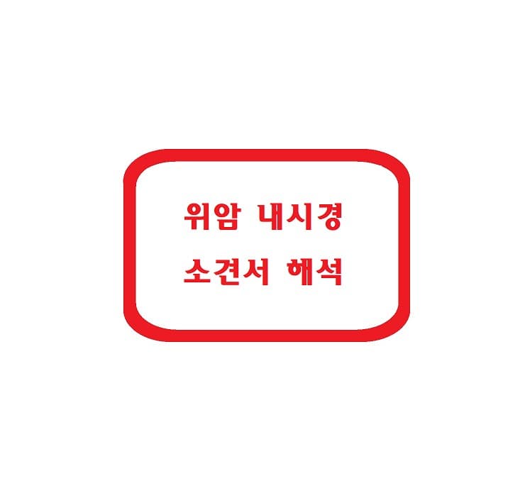 위암 내시경 소견서 해석