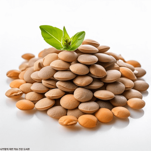세계 5대 건강 식품 렌틸콩