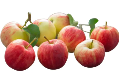 고지혈증에 좋은 음식, 피해야 할 나쁜 음식