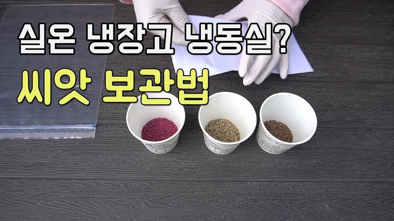 씨앗 저장법 건조 저온 밀봉 발아율 유지 교체 주기_1