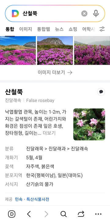 다음 꽃이름 검색