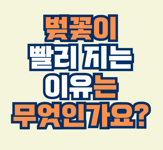 벚꽃