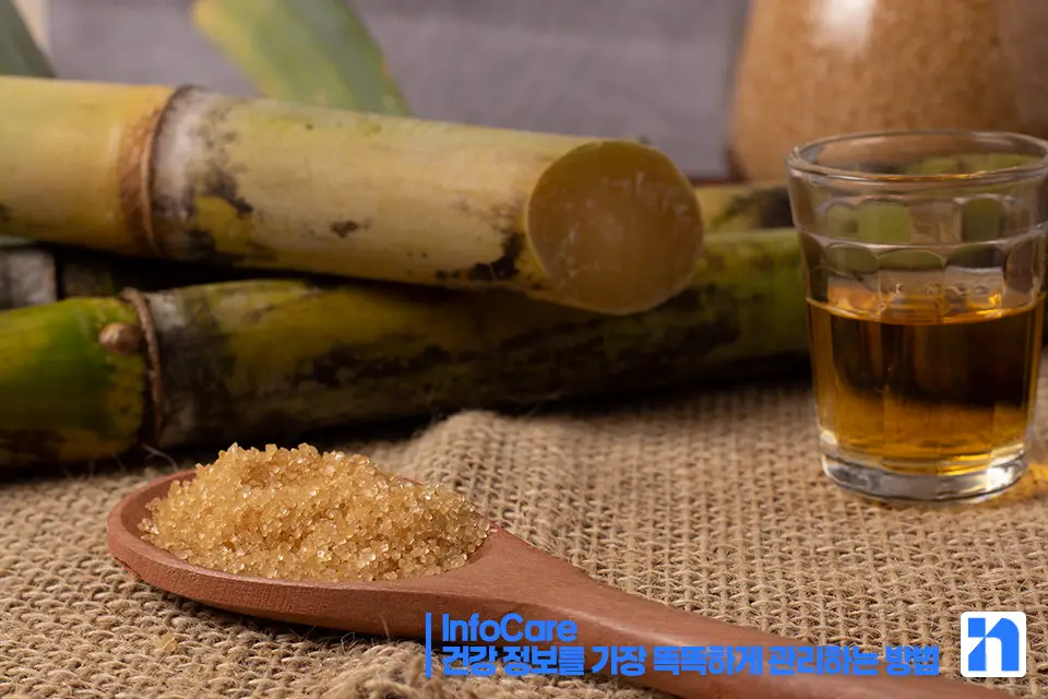 폴리코사놀 효능 효과 복용법 부작용 추천 쿠바산