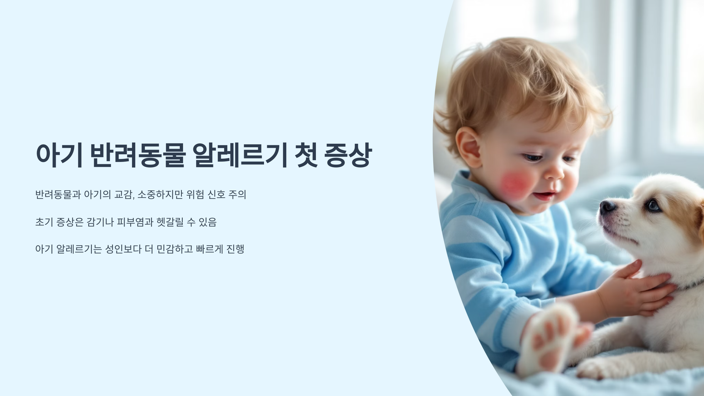 아기 반려동물 알레르기 첫 증상