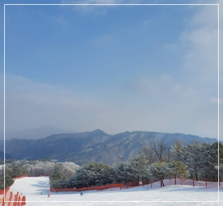 비발디파크스키장