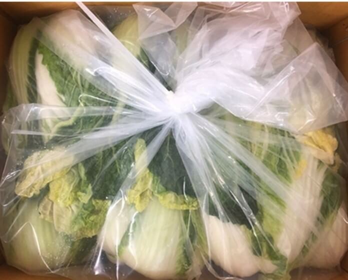 절임배추 20kg 추천