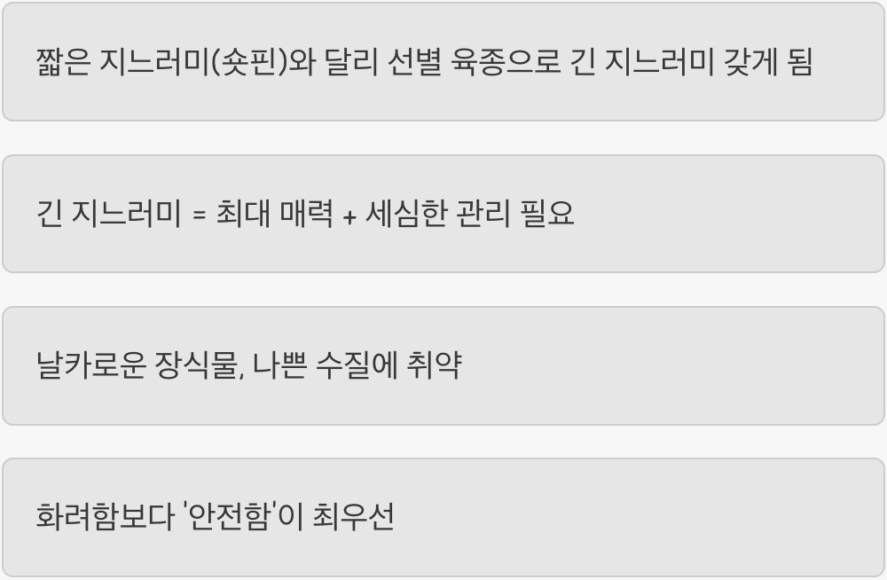 '롱핀'의 아름다움, 그 이면의 섬세함