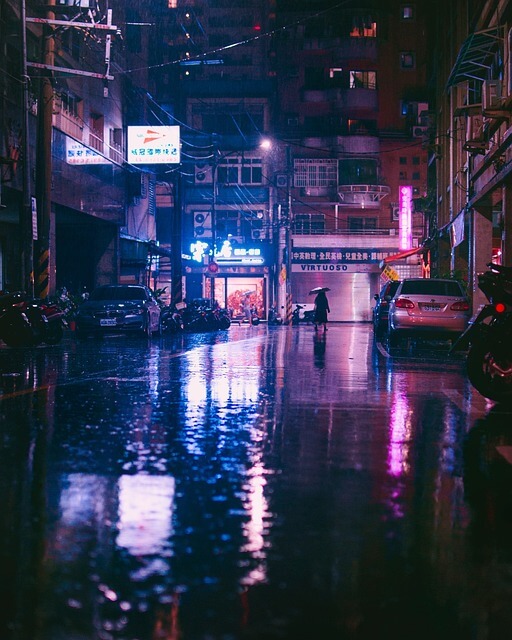 2025 장마기간 완전 정리