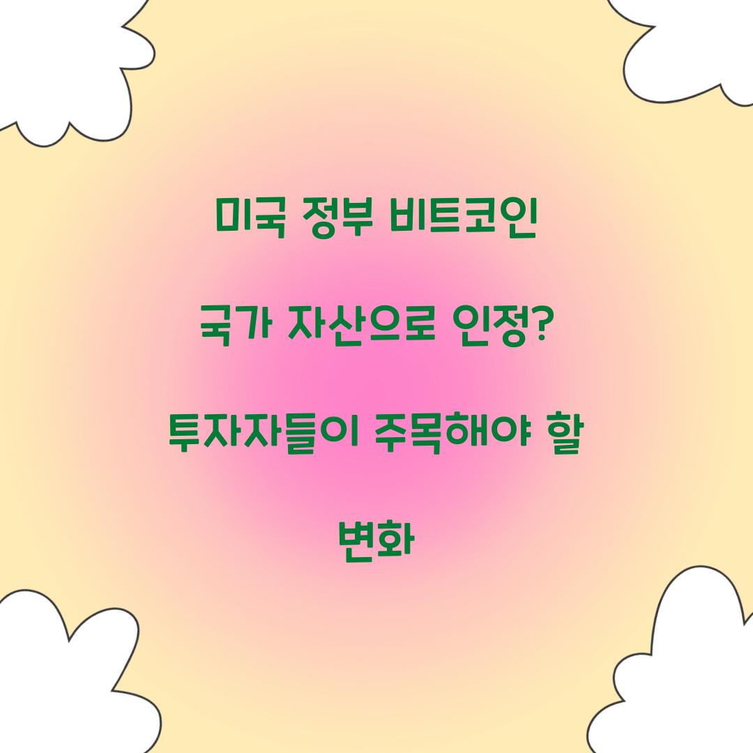 미국 정부 비트코인 국가 자산