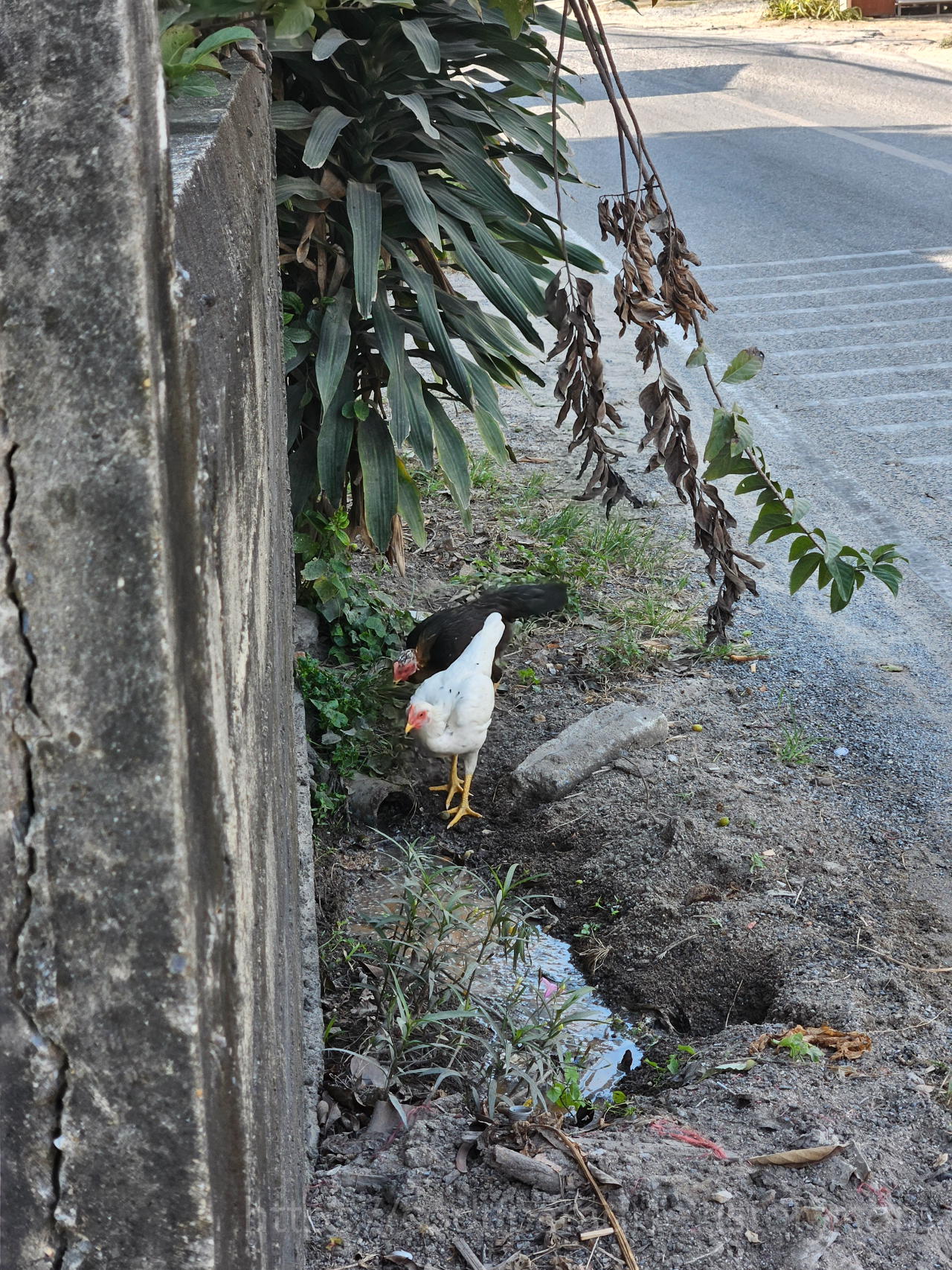 ๊ณตํญ ๋ฐ ๋ญ