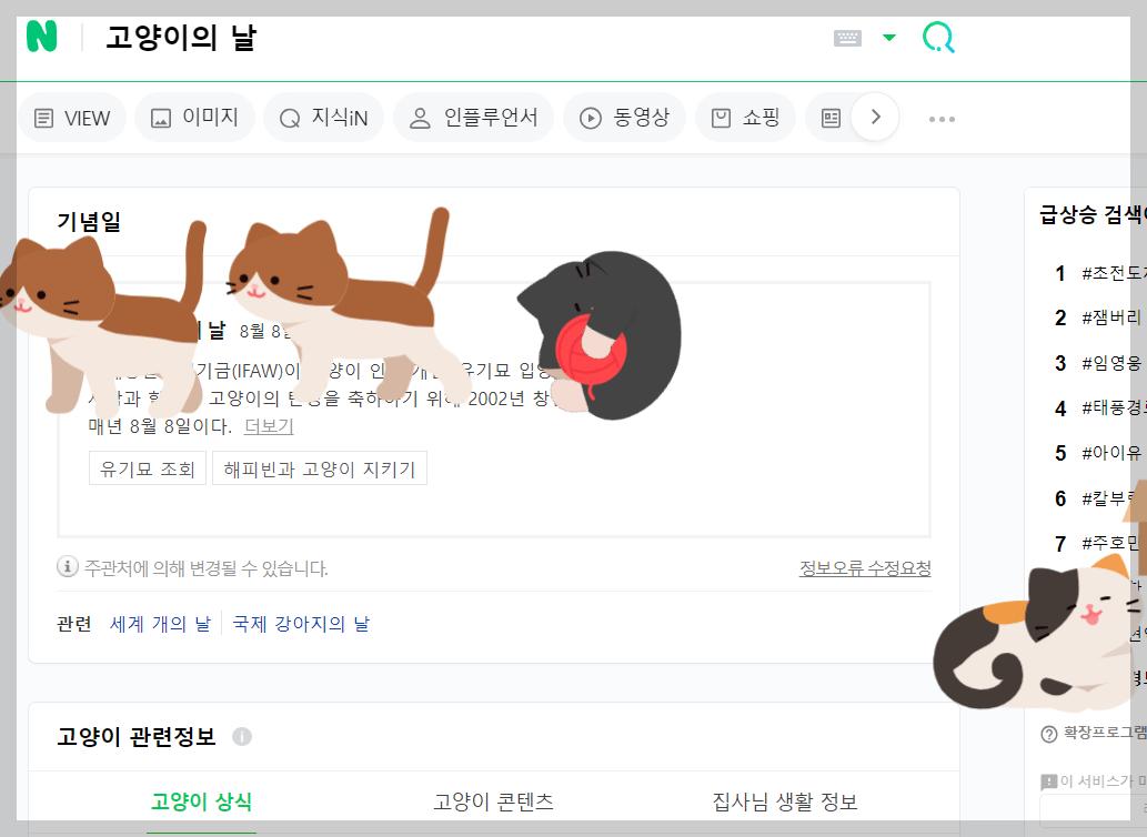 고양이의 날 검색 결과