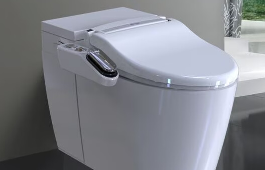 비데의 종류와 사용방법