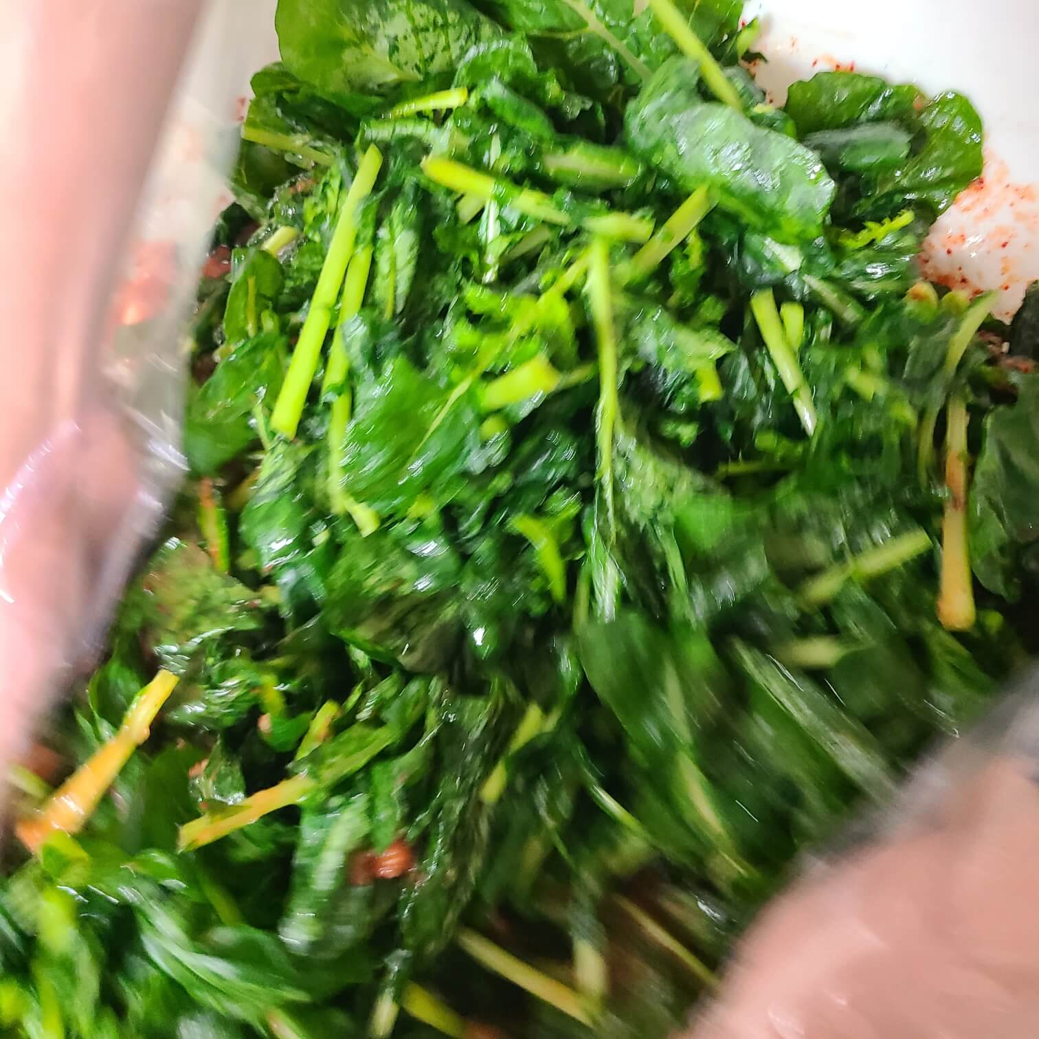 #한옥집 김치찜 #대구 한옥집 김치찜 #어린이집 김치 #OK COOK 시골집 김치찌개 영양성분 #유어스식객한옥집김치찜 영양성분 #한옥집김치찌개 영양성분 #한옥집김치찜 영양성분 #집김밥 #서대문 한옥집 김치찜 #종갑집 김치 회사 #어린이집 김치만들기