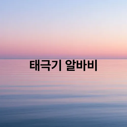 태극기 알바비