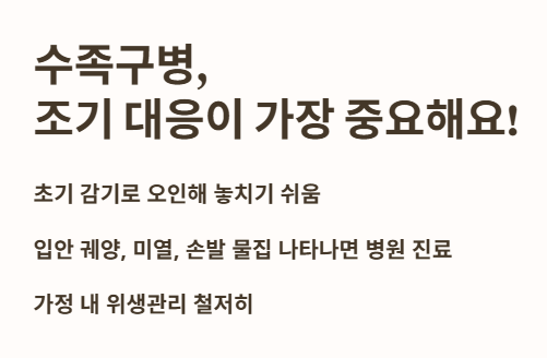 수족구병&amp;#44; 조기 대응이 가장 중요해요