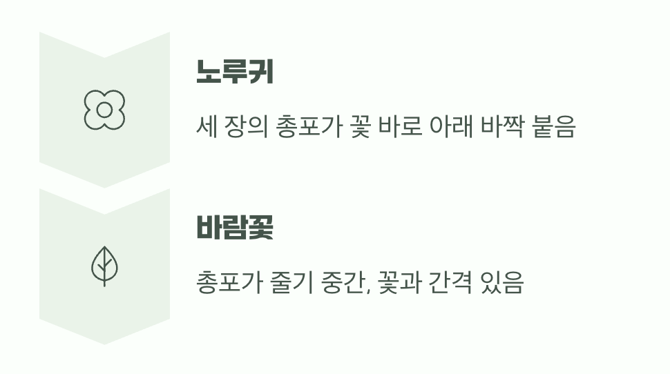 꽃 아래 작은 받침을 찾아보세요