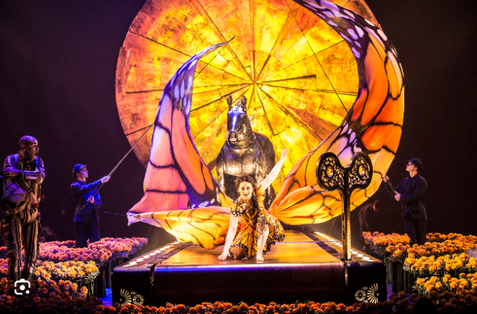 태양의서커스 루치아 예매 정보 및 할인혜택