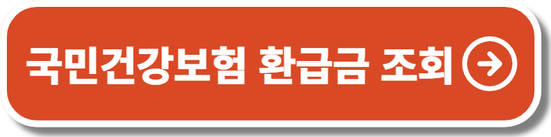 국민건강보험 환급금 조회