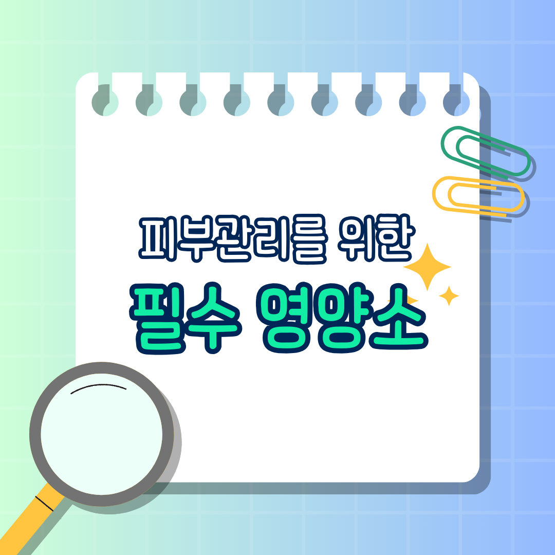 피부 관리를 위한 필수 영양소