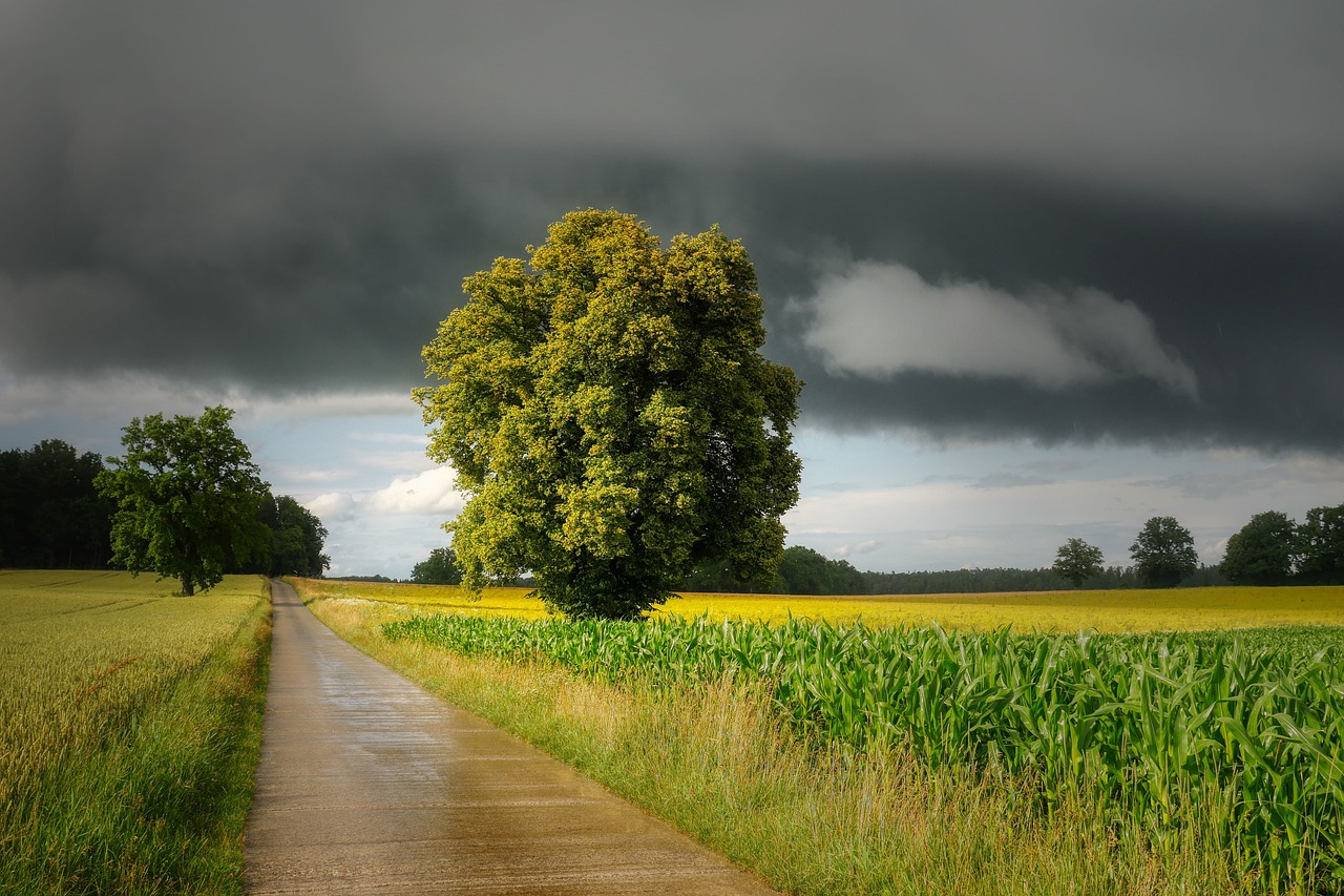 © Image by Albrecht Fietz from Pixabay