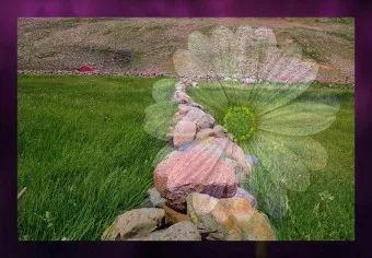 오믈렛 황금레시피_23