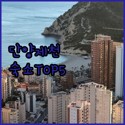 단양 제천 인기 숙소 5곳 청결도 평..