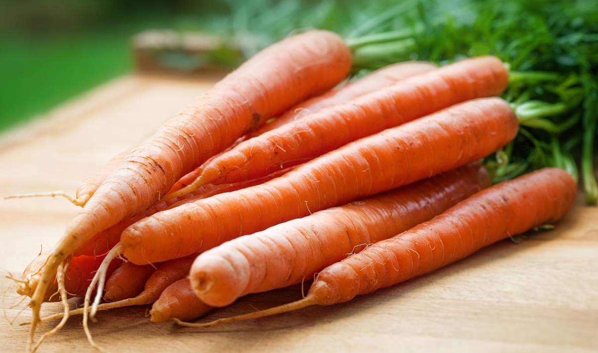 당근-알레르기-비타민-항산화-미네랄-저칼로리