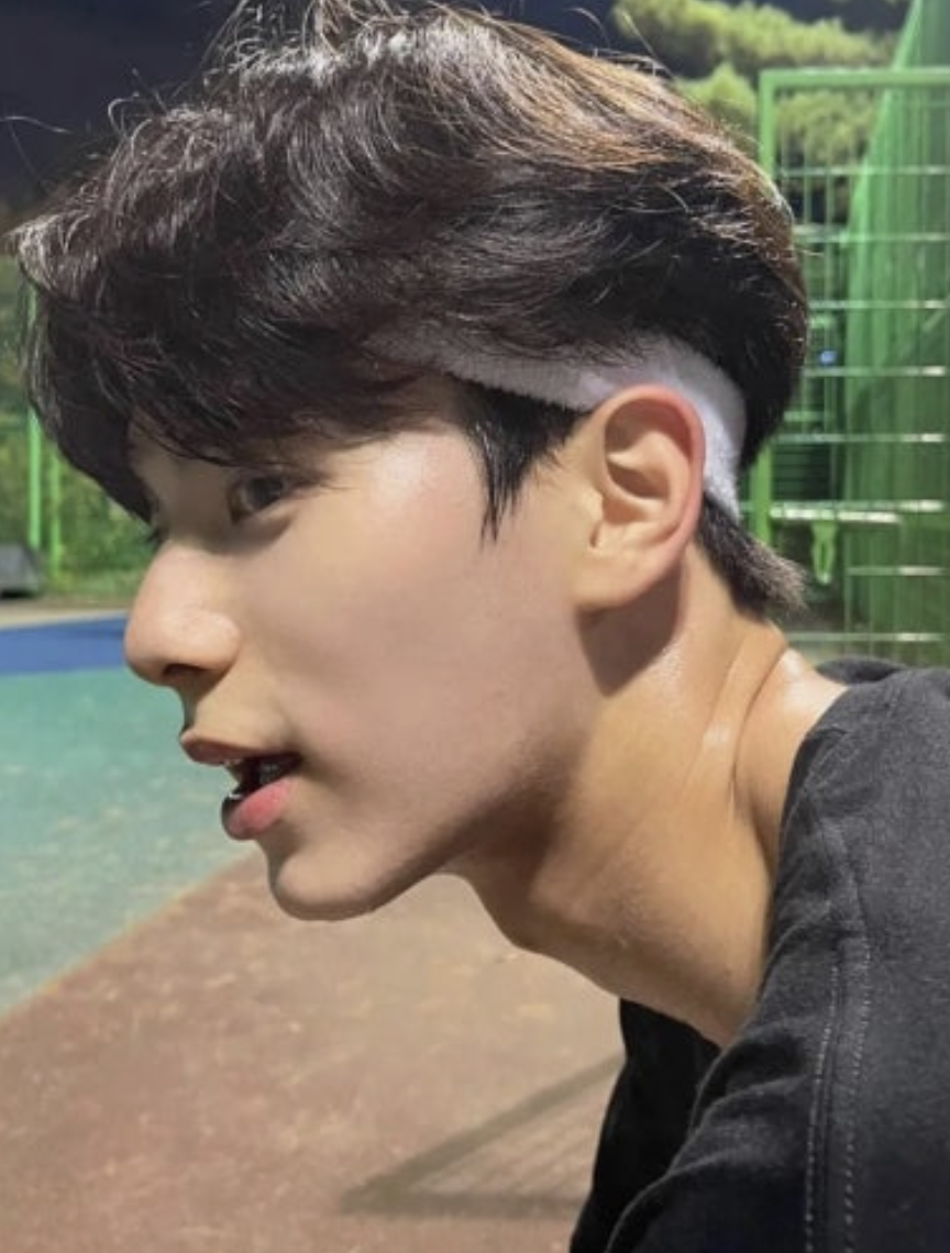 이채민 폭군의 셰프 대체 발탁
