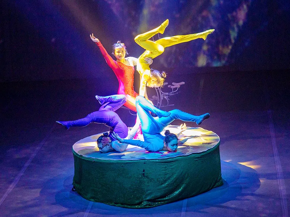 제주도-서쪽-놀거리-아트서커스-곡예