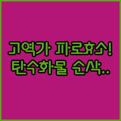 탄수화물 분해 돕는 고역가 파로 효소..