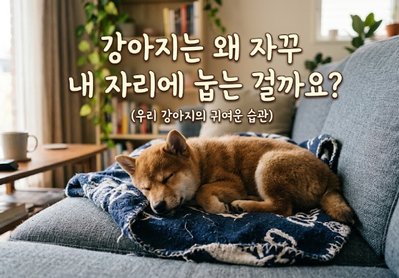 반려견 행동사항중 설명하는 이미지
