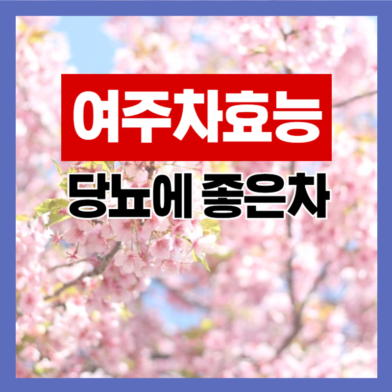 여주차 효능 당뇨에 좋은차