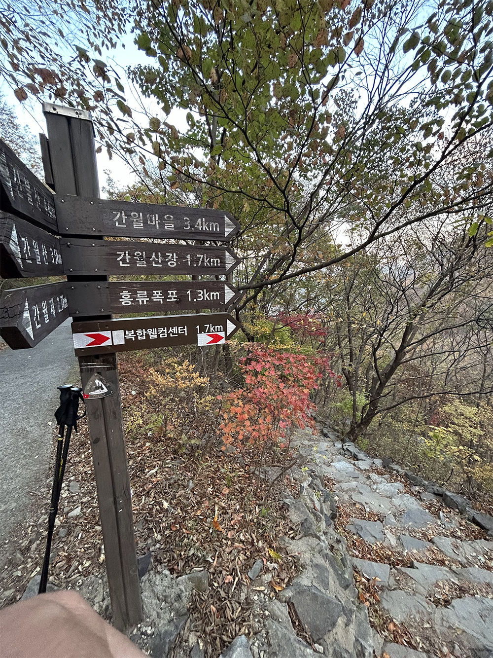 간월재에서 복합웰컴센터로 가는 하산길
