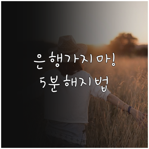 은행 방문 없이 마이너스통장 해지하기..
