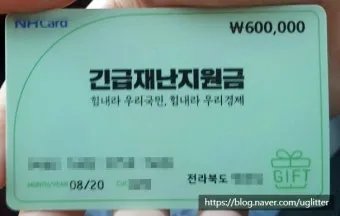 농협 민생회복지원금 잔액조회 방법 완벽 정리 사용처 확인방법_21